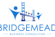 Bridgemead Consulting Graphics Designer Job 2026 in Lagos: ₦500,000 Salary and How to Apply