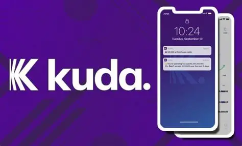 Kuda Bank Contact Center Agent Job 2026: Requirements and How to Apply