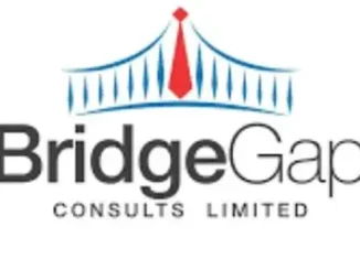 BridgeGap Plumber Job 2026 in Ibadan: ₦90,000 Salary, Requirements & How to Apply