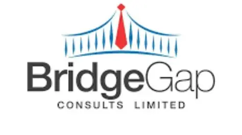BridgeGap Plumber Job 2026 in Ibadan: ₦90,000 Salary, Requirements & How to Apply