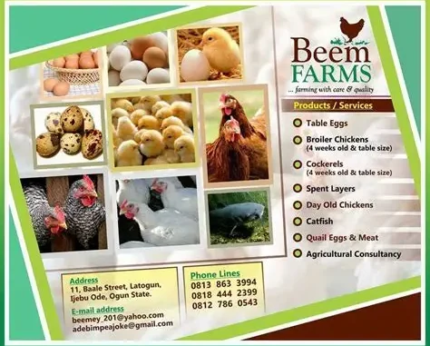 Kitchen Assistant Job at Beem Farms in Lagos
